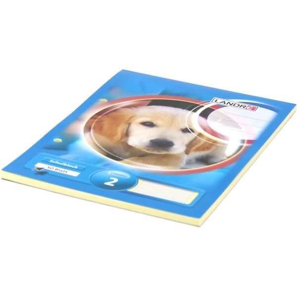 Schulblock A5 50 Blatt 80 g/qm 2-fach gelocht Lineatur 2