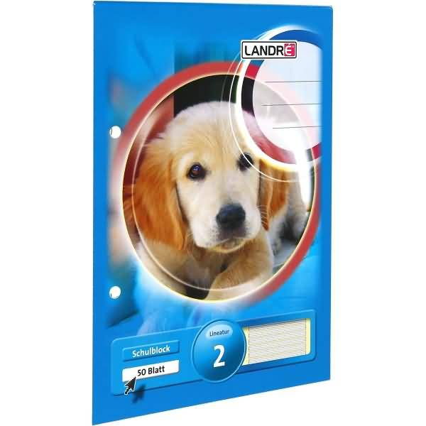 Schulblock A5 50 Blatt 80 g/qm 2-fach gelocht Lineatur 2