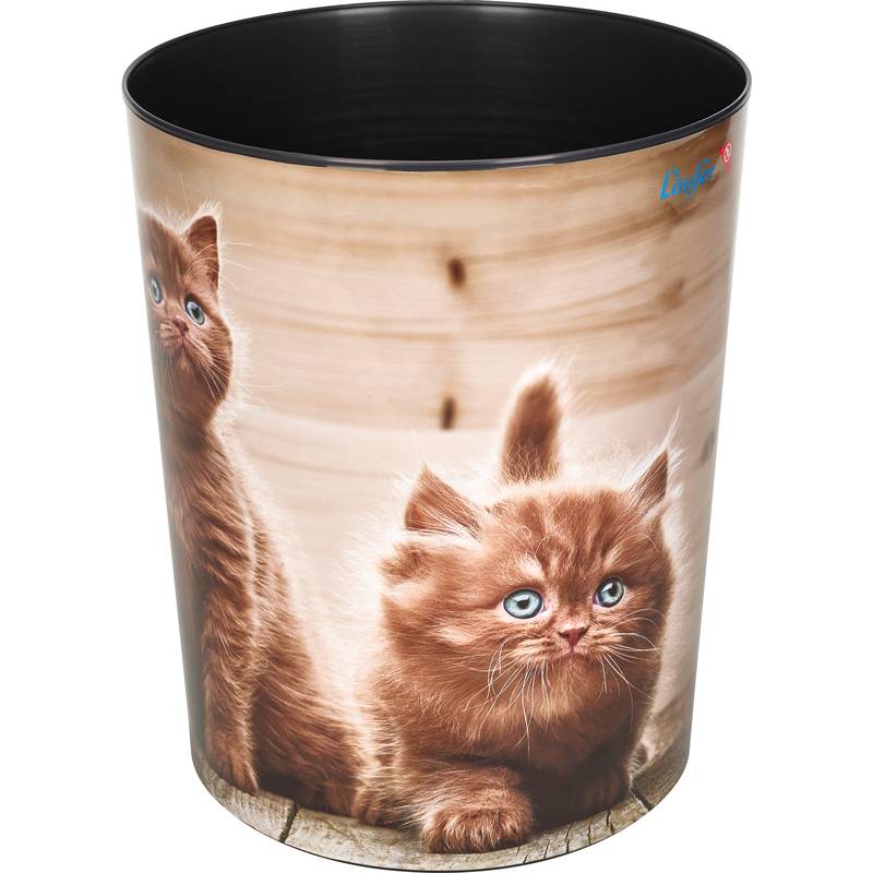 Läufer Papierkorb Neugiergie Kätzchen