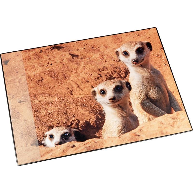 Läufer Schreibunterlage Erdmännchen, 400 x 530 mm