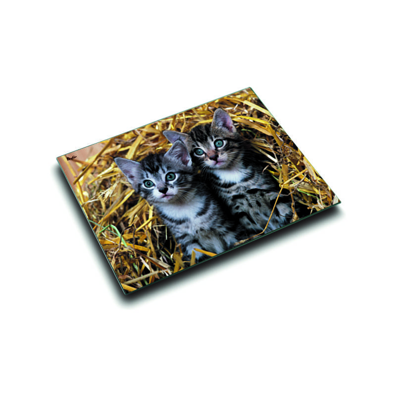 Läufer Schreibunterlage Katzen im Stroh, 400 x 530 mm