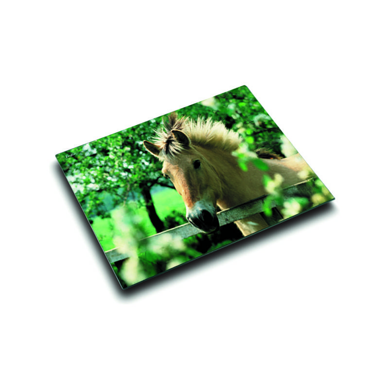 Läufer Schreibunterlage Pferd am Weidezaun, 400 x 530 mm