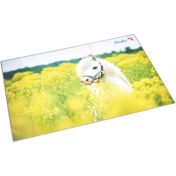 Schreibunterlage Motiv-Poster 40x53 cm Pferd im Rapspfeld