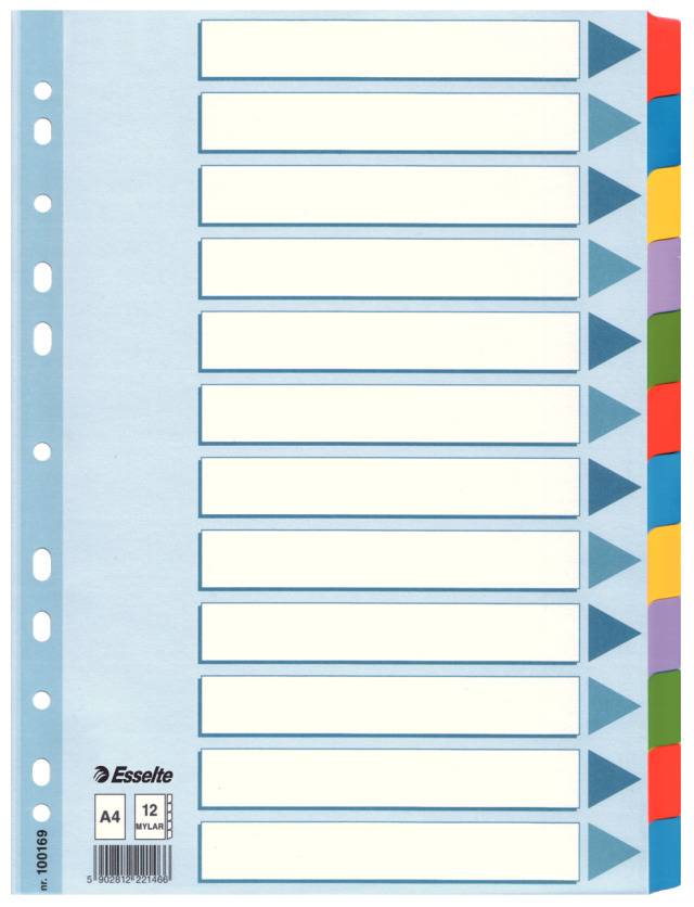 Kartonregister Blanko