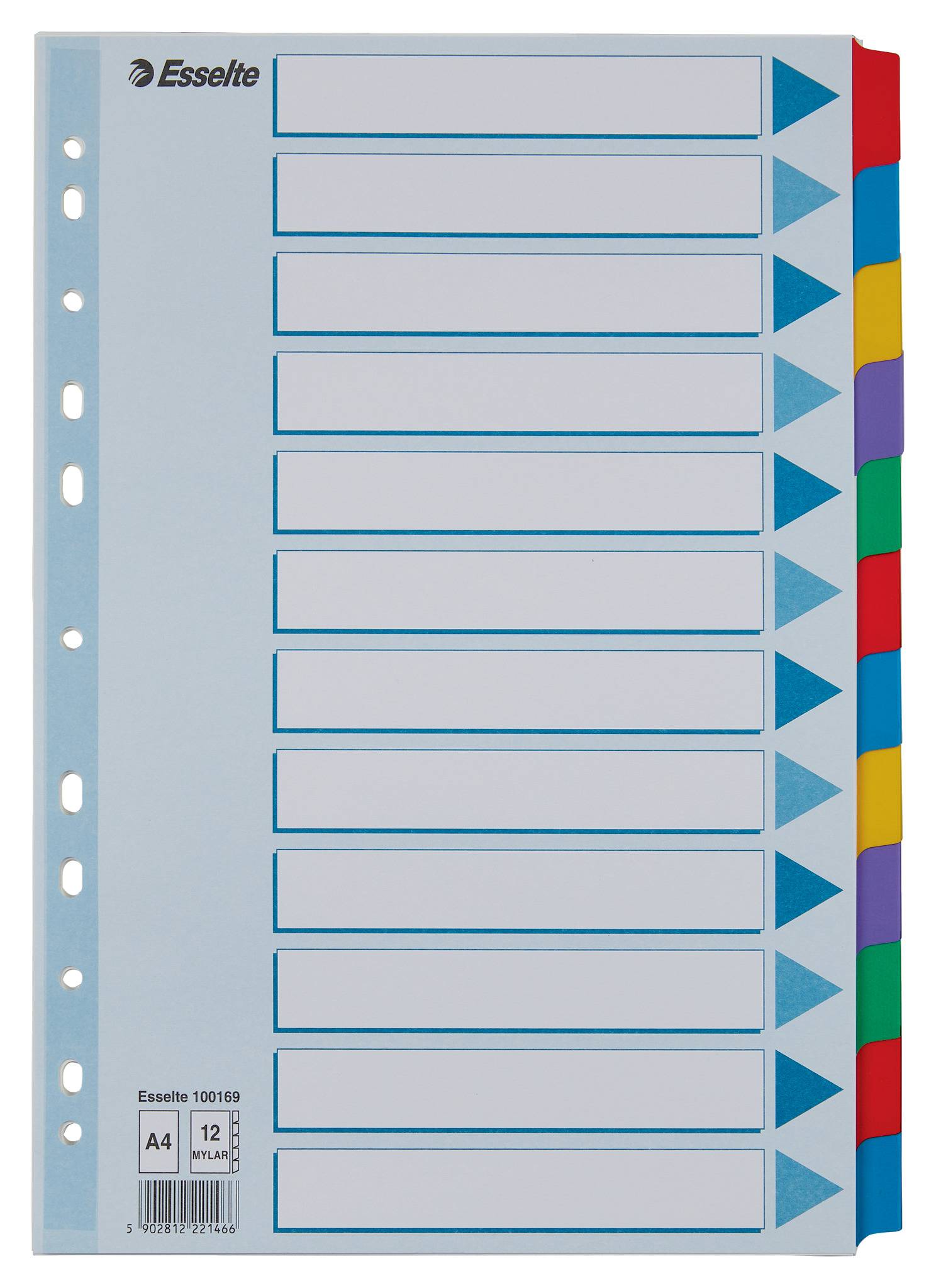 Esselte A4 12er-Register-Set mit blanken Registerkarten und farbigen Seitenlaschen zum Organisieren eines Ordners