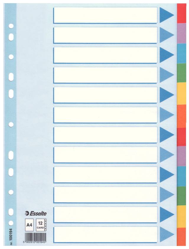 Kartonregister Blanko