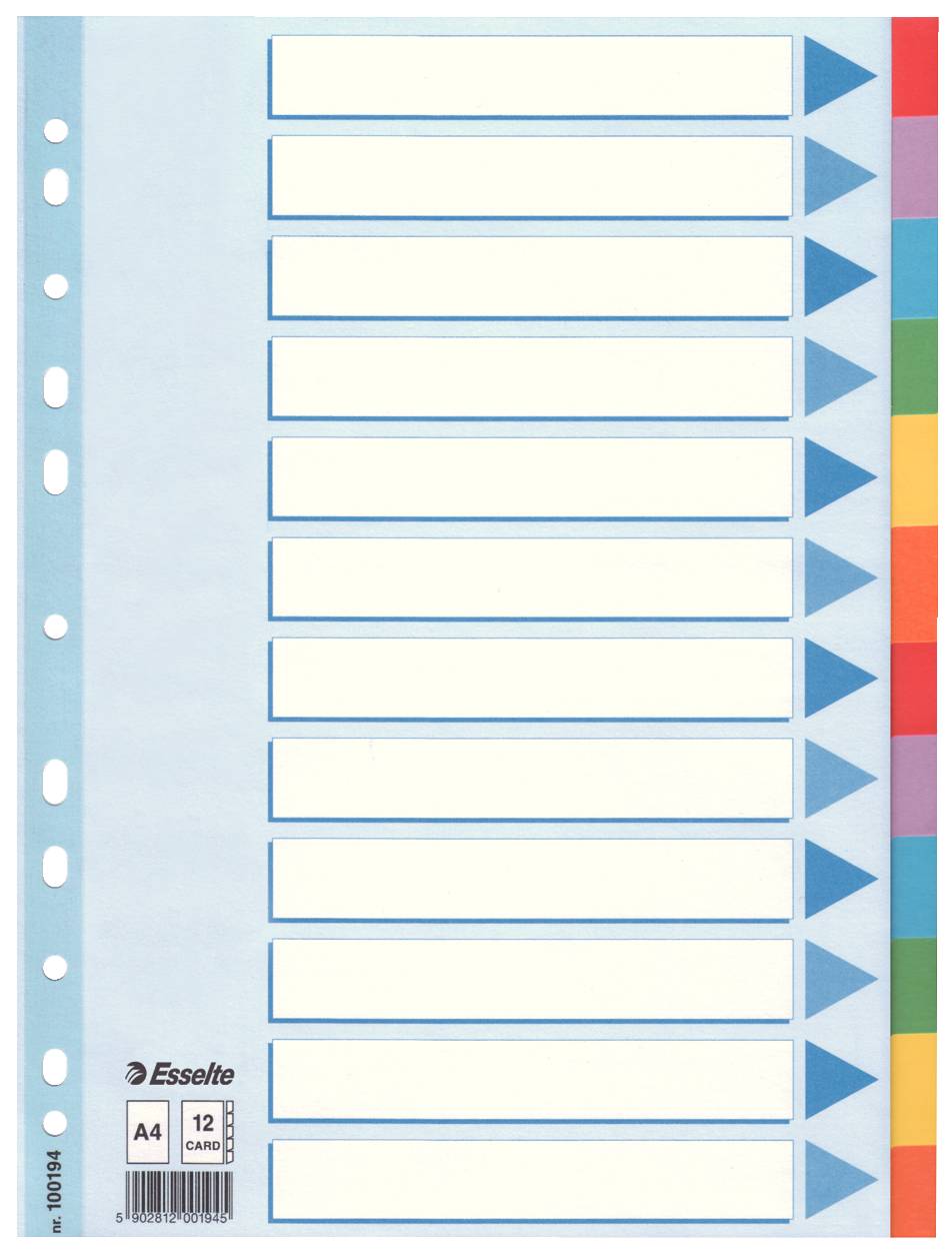 Kartonregister Blanko