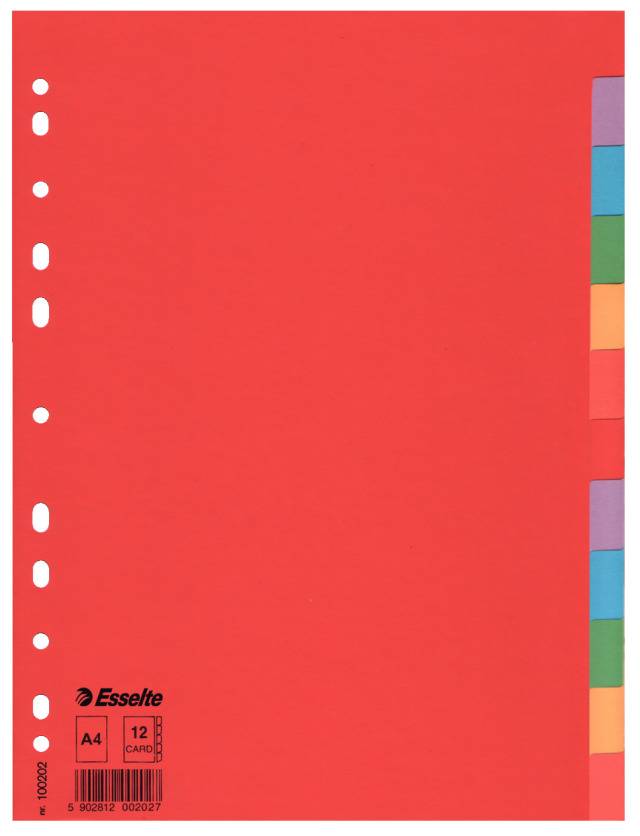 Kartonregister Blanko