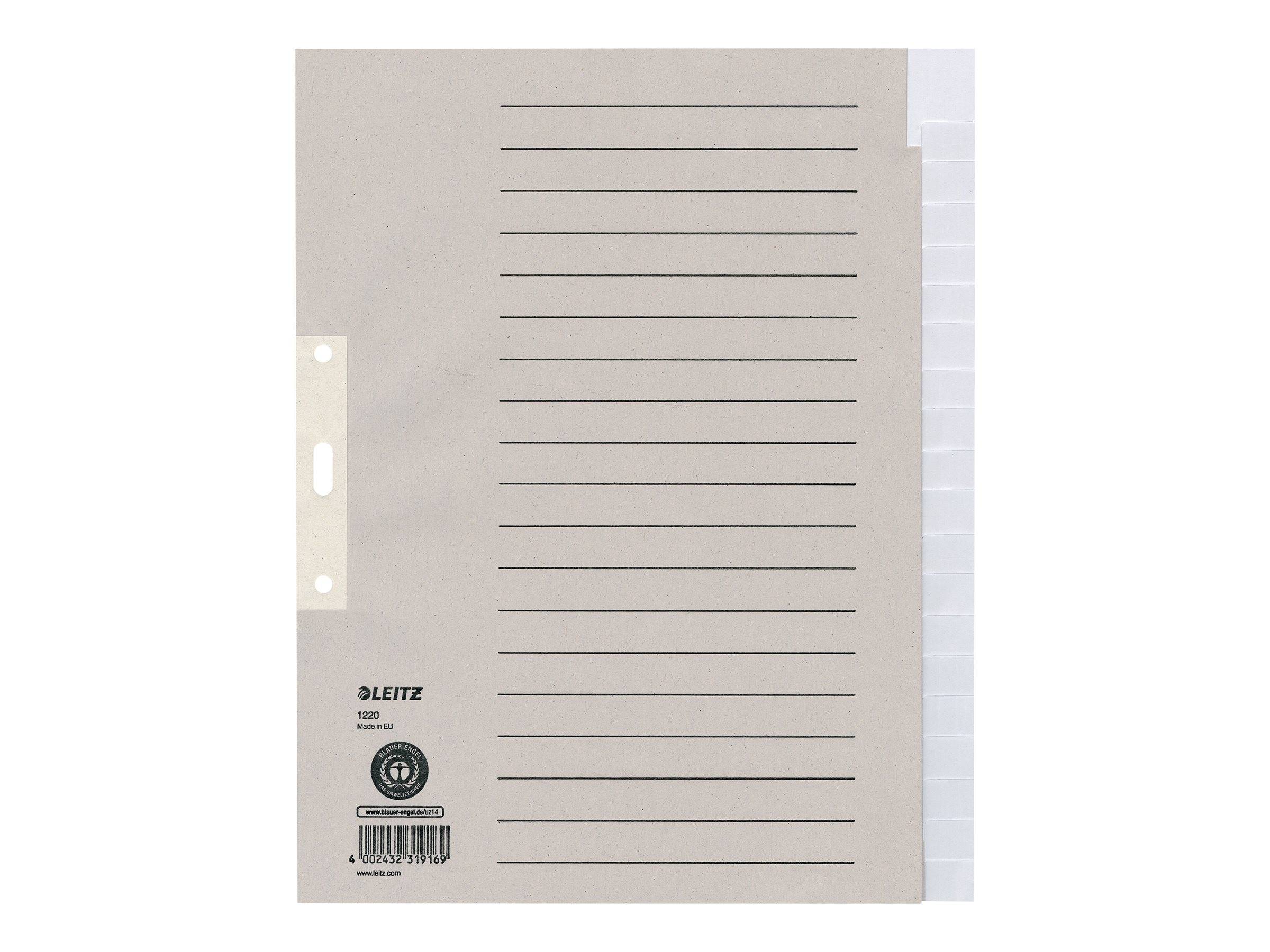 ESSELTE LEITZ - Leitz - Trennelement - 20 Teile - für A4 Plus (210 x 330 mm)