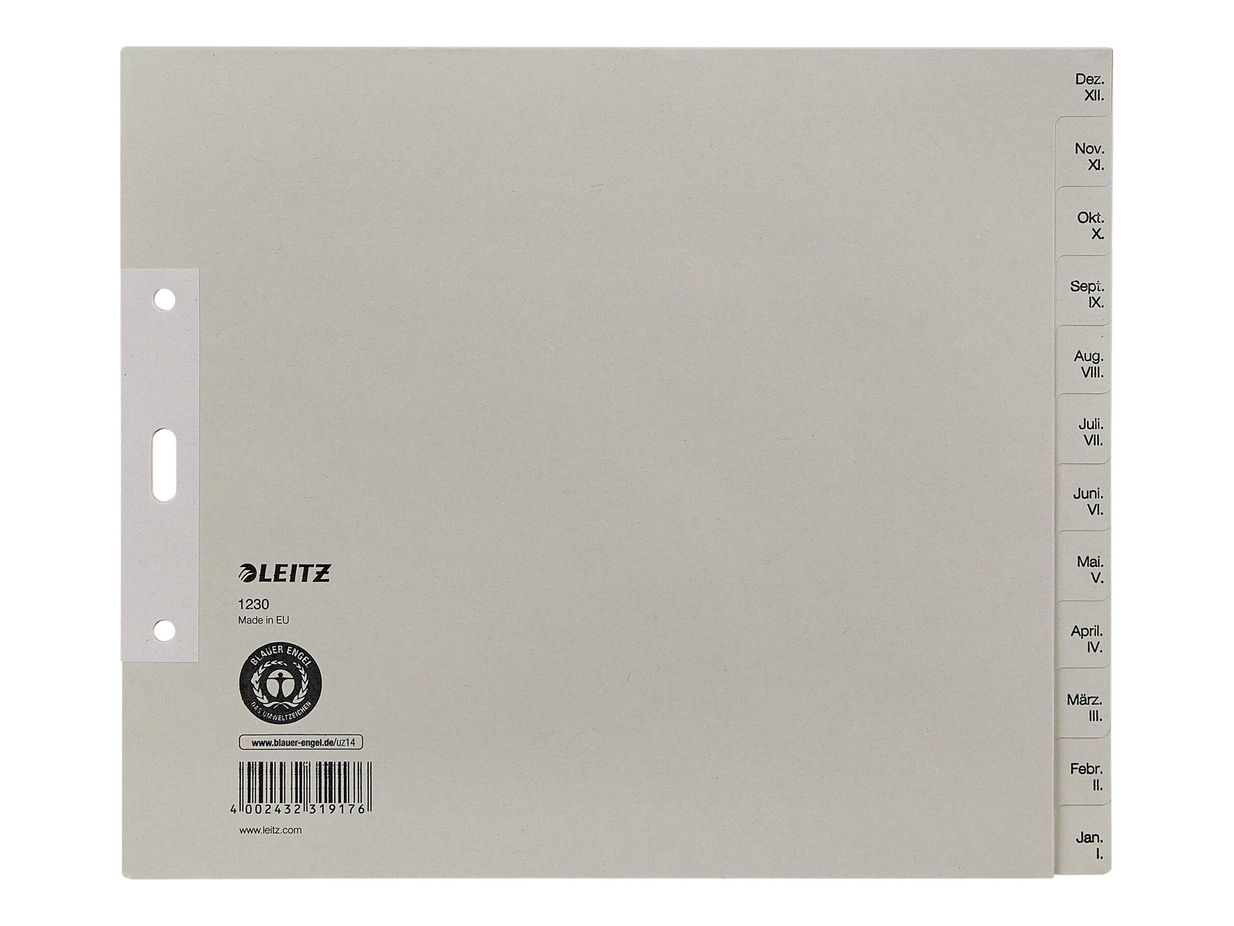 ESSELTE LEITZ - Leitz - Trennelement - 12 Teile - vorgedruckt: Dez-Jan - für A4 (210 x 297 mm)