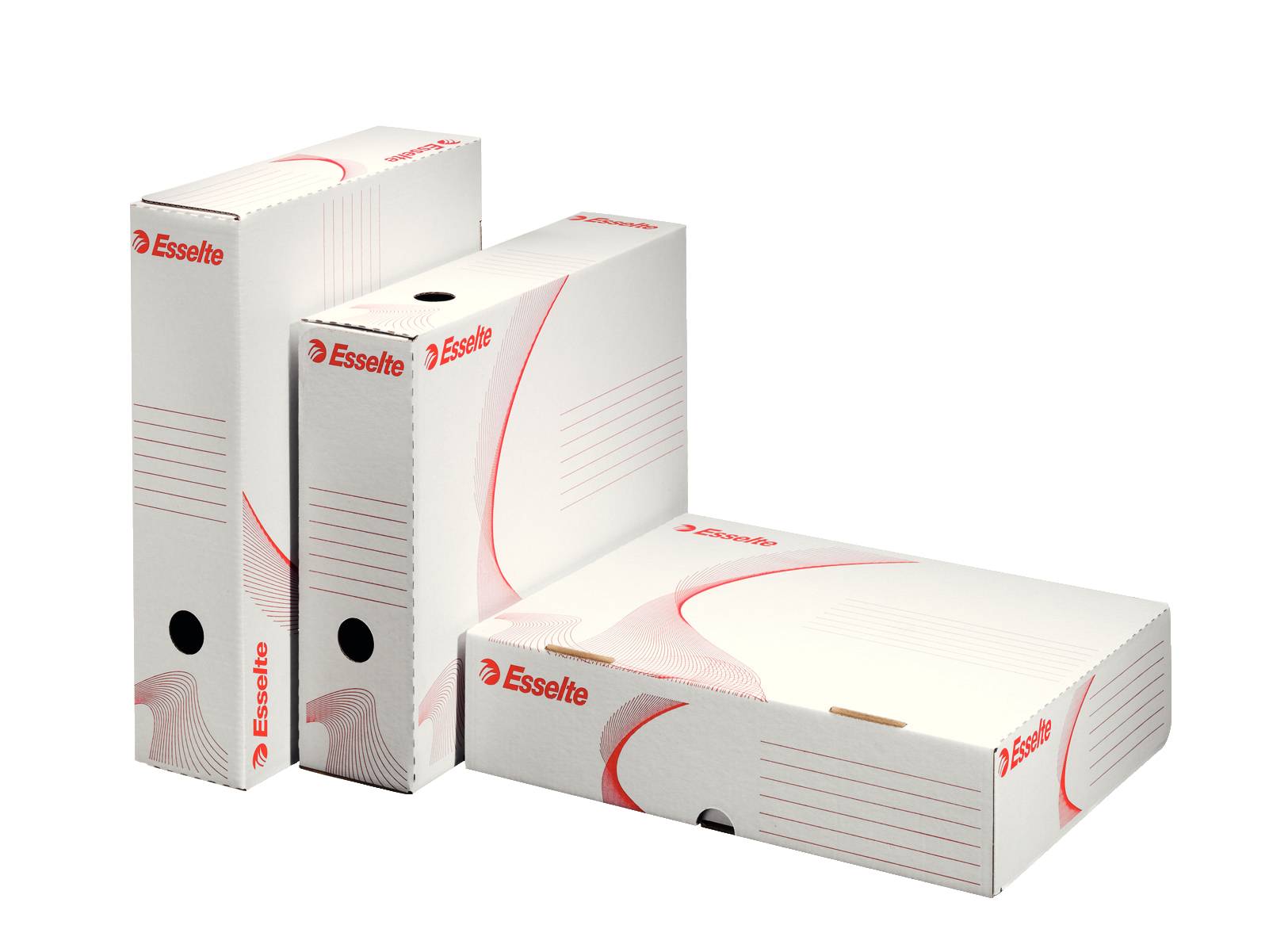 Esselte Leitz Standard - Aktenbox - Rückenbreite: 80 mm