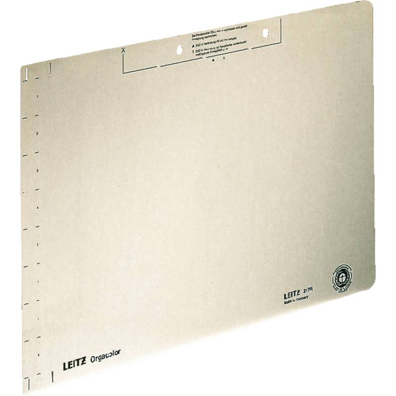 LEITZ Einlegeblatt, (B)323 x (H)224 mm, chamois