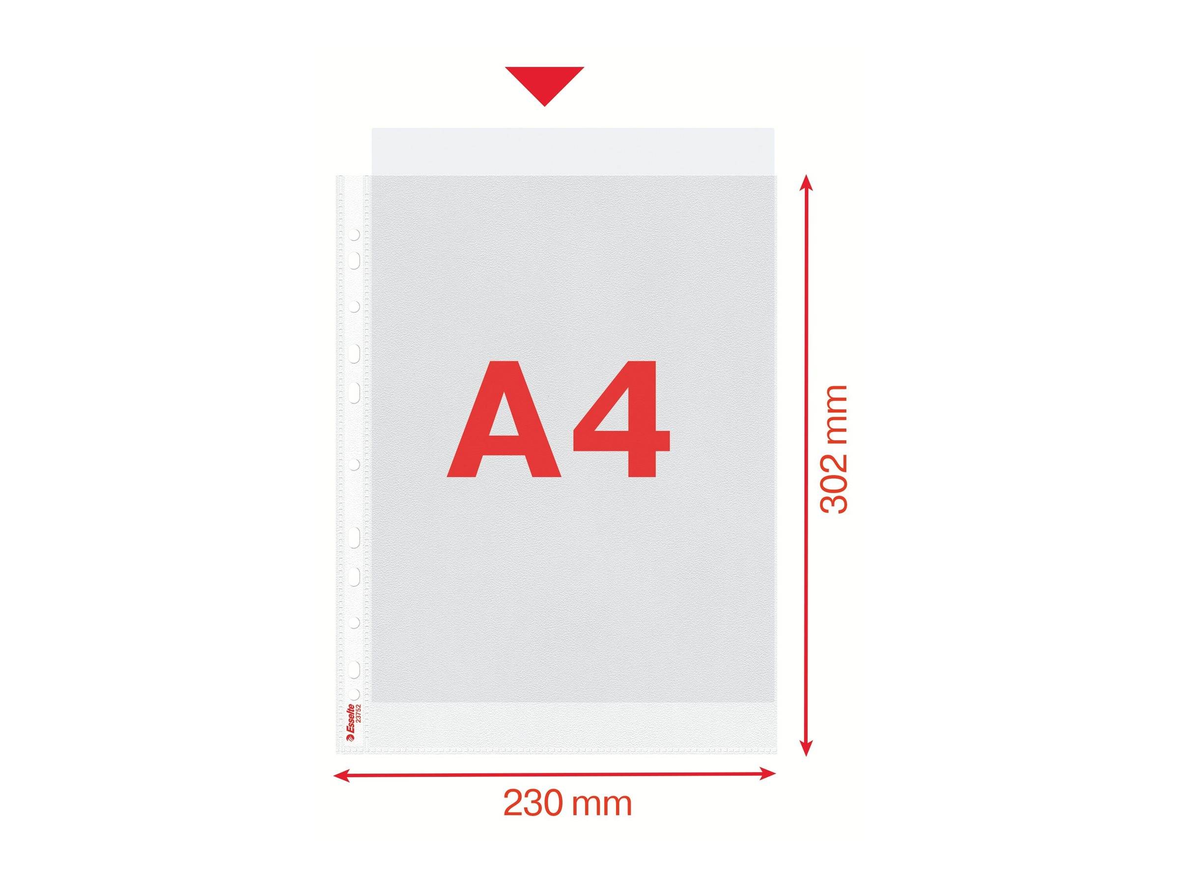 Esselte Leitz Schutzhülle - für A4 (210 x 297 mm) - Kapazität: 30 Blätter (Packung mit 100)