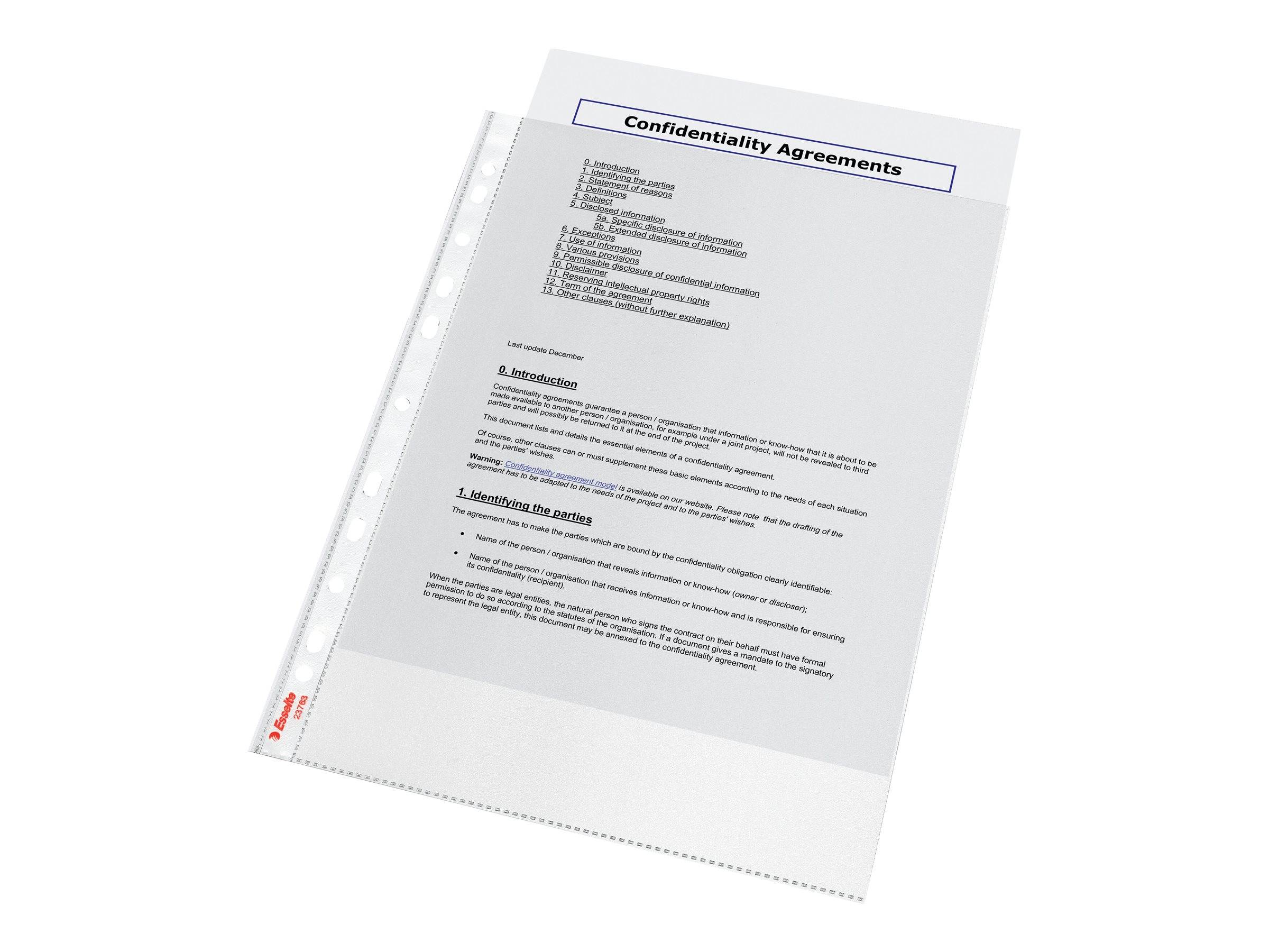 ESSELTE LEITZ - Esselte Standard Plus - Schutzhülle - für A4 (210 x 297 mm)