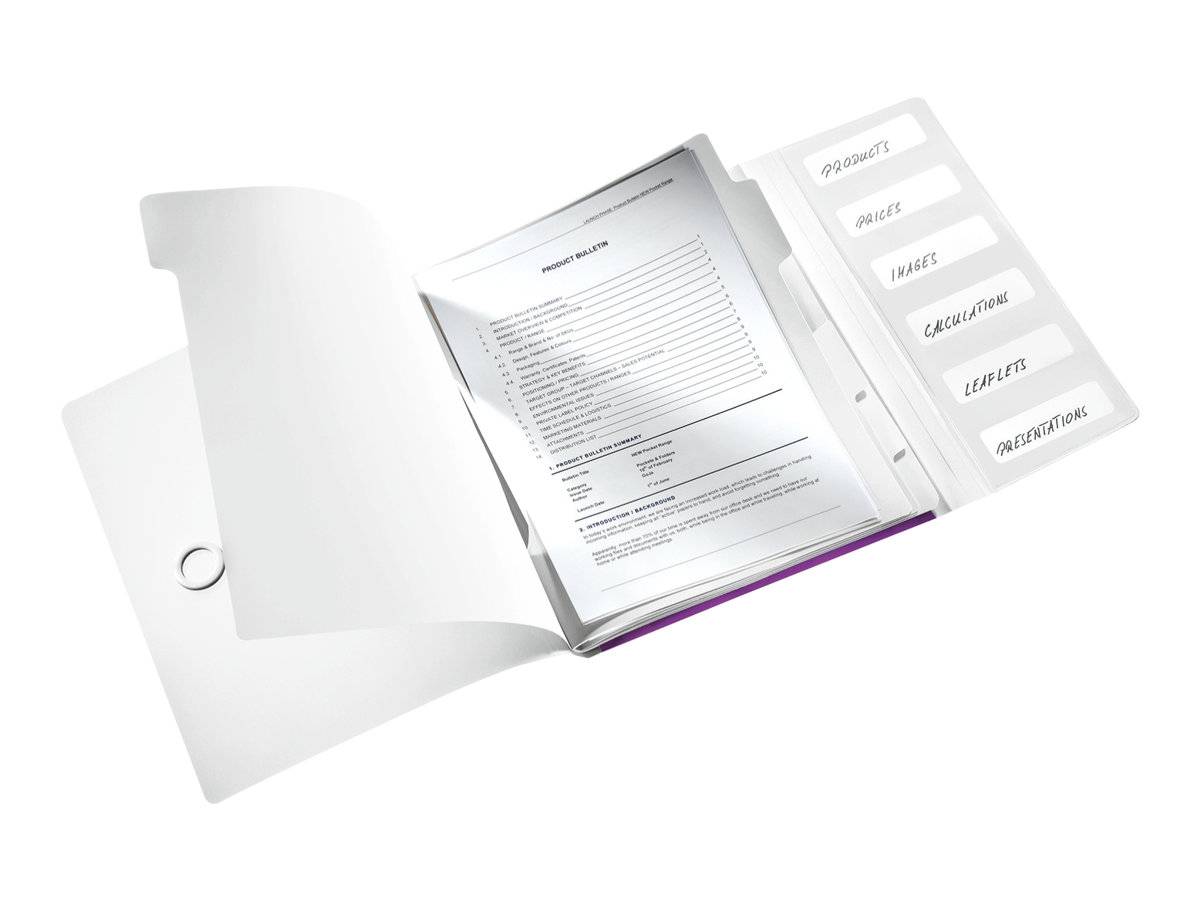 ESSELTE LEITZ - Leitz WOW - Gliederungsordner - 6 Fächer - 6 Teile