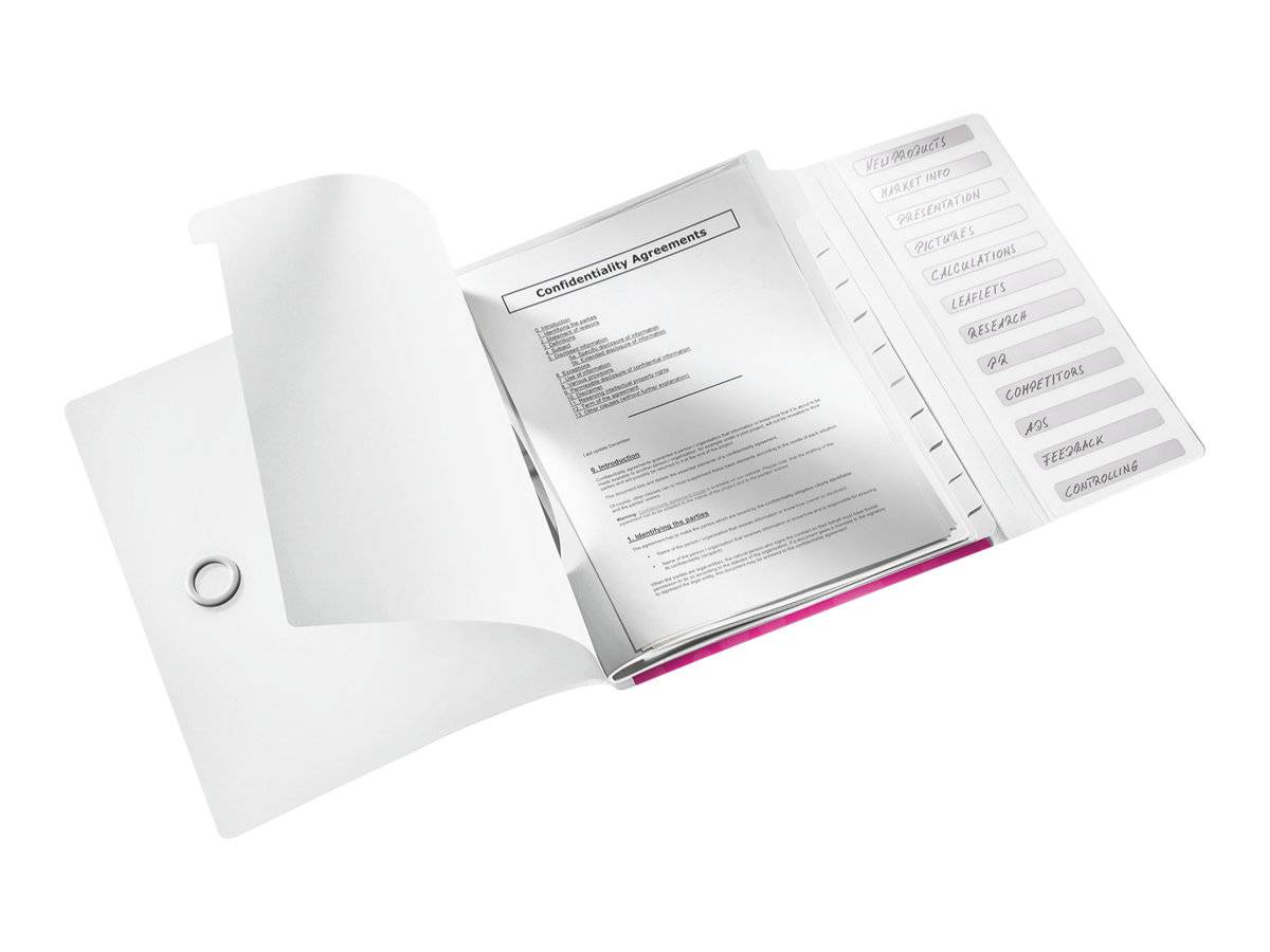 ESSELTE LEITZ - Leitz WOW - Gliederungsordner - 12 Fächer - 12 Teile