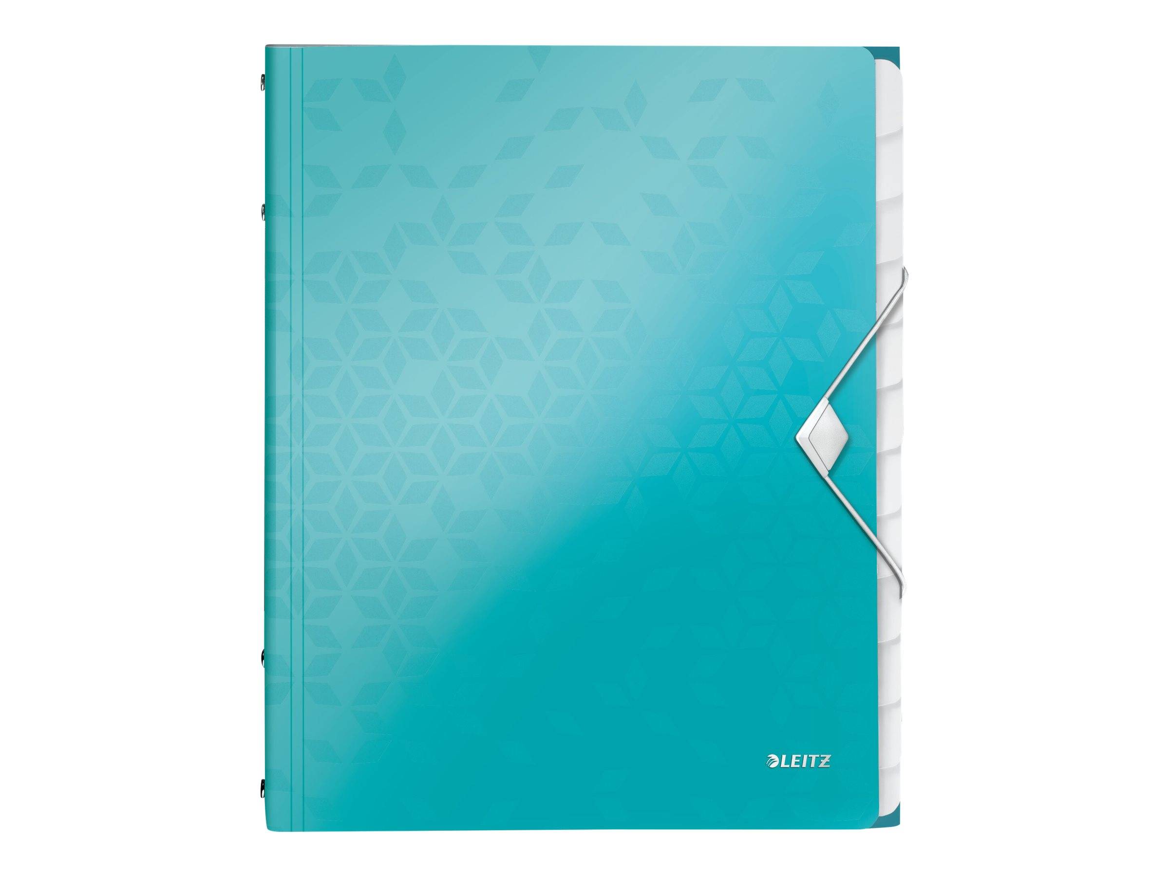 ESSELTE LEITZ - Leitz WOW - Gliederungsordner - 12 Fächer - 12 Teile