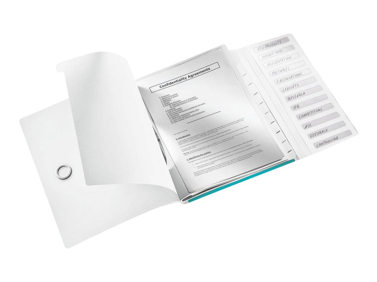 ESSELTE LEITZ - Leitz WOW - Gliederungsordner - 12 Fächer - 12 Teile