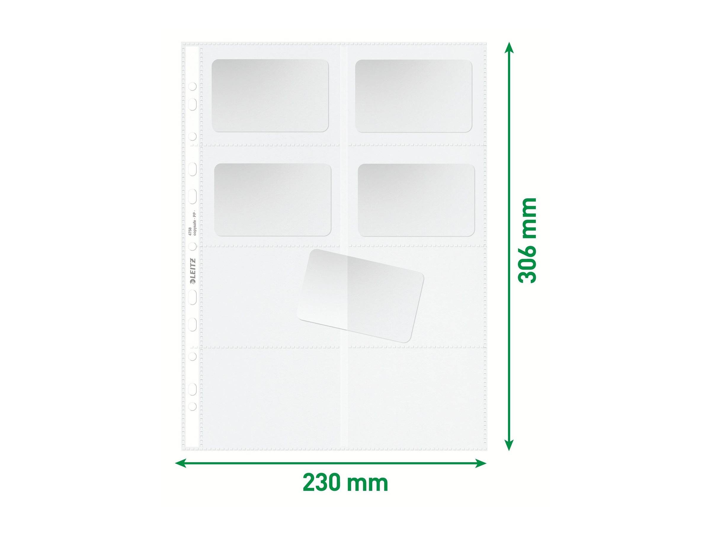 ESSELTE LEITZ - Leitz - Visitenkartenseite - 8 Fächer - Kapazität: 16 Karten - kristallklar (Packung mit 10)