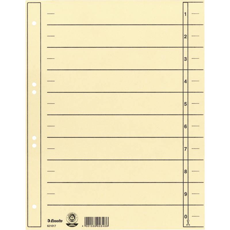 Esselte Karton-Trennblätter, DIN A4 Überbreite, chamois