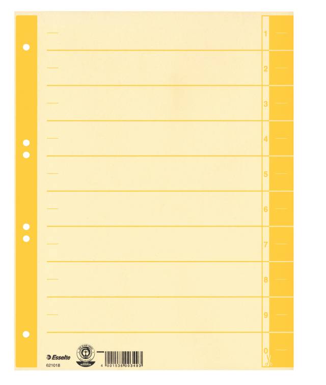 Trennblatt farbig bedruckt