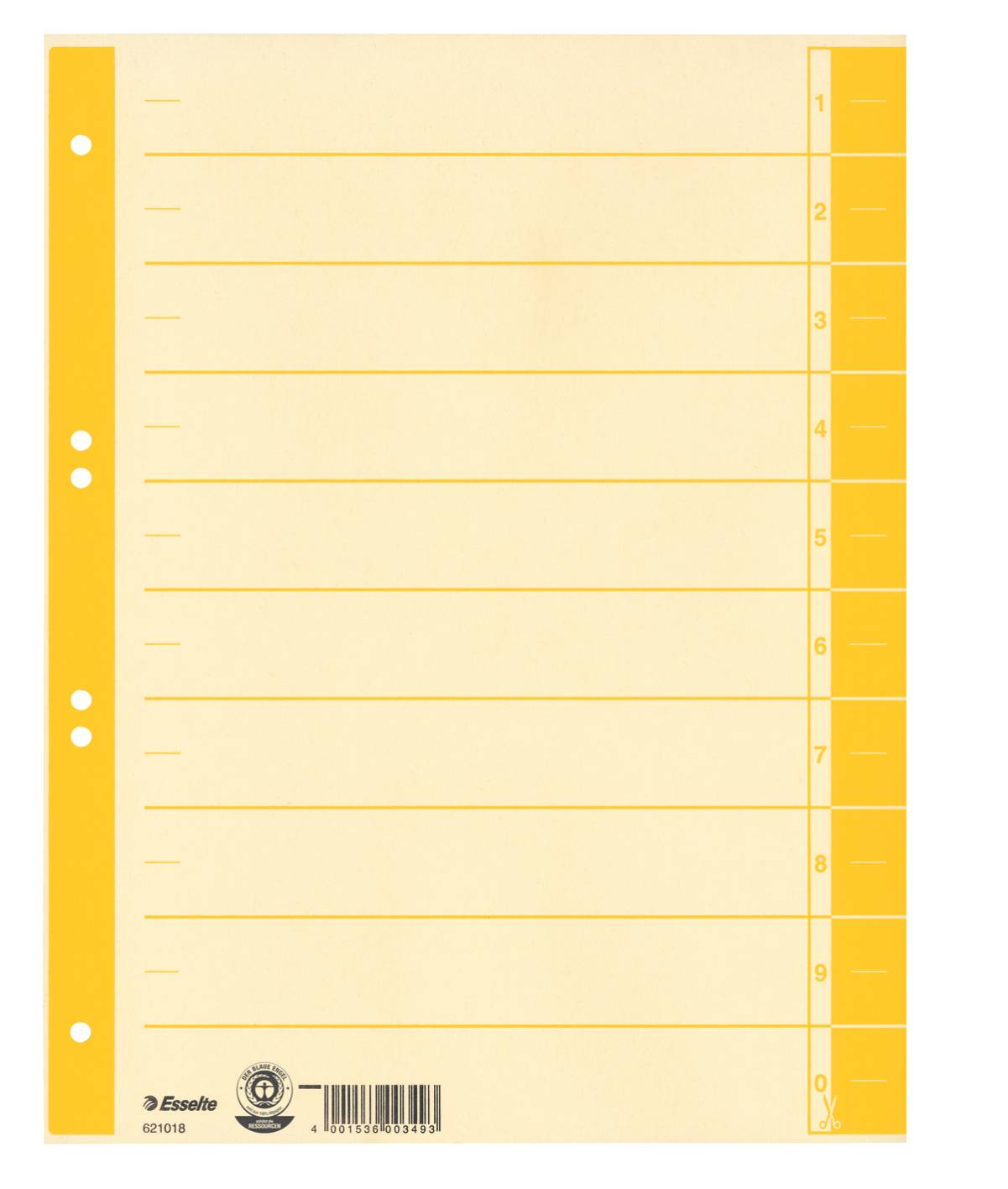 Trennblatt farbig bedruckt