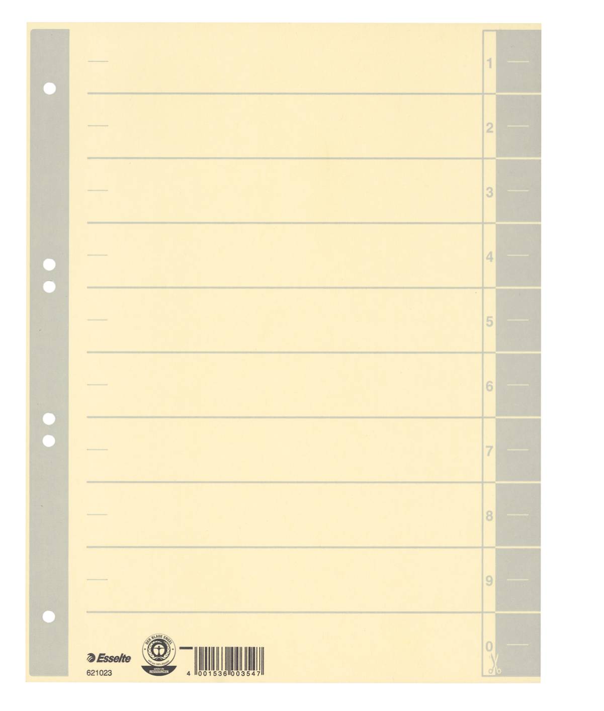 Trennblatt farbig bedruckt