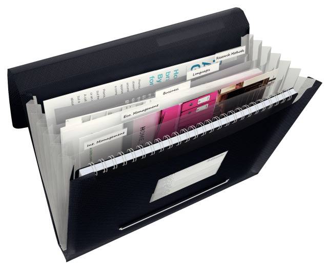 Fächermappe VIVIDA - Esselte