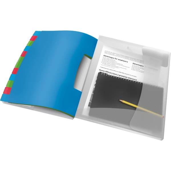 Ordnungsmappe Vivida A4 12 Fächer mehrfarbig