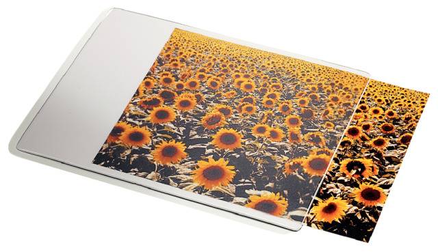 Esselte Mauspad Personal - weiß/transparent