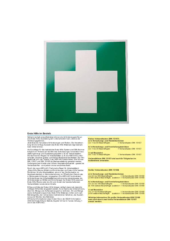 Verbandkasten,DIN 13169, groß, FORMAT