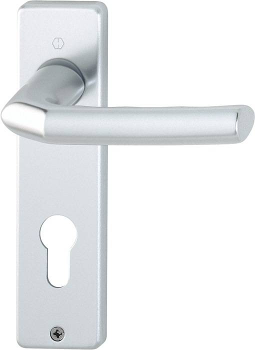 Ein silberner Türgriff auf einer rechteckigen Metallplatte mit einem Schlüsselloch in Standard-Schlüsselform.