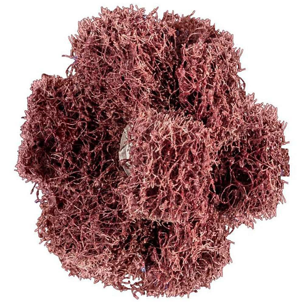 Mikroskopisches Bild eines stacheligen, kugelförmigen rotbraun gefärbten Partikels, das einem Virus oder einer Zelle ähnelt, auf weißem Hintergrund.