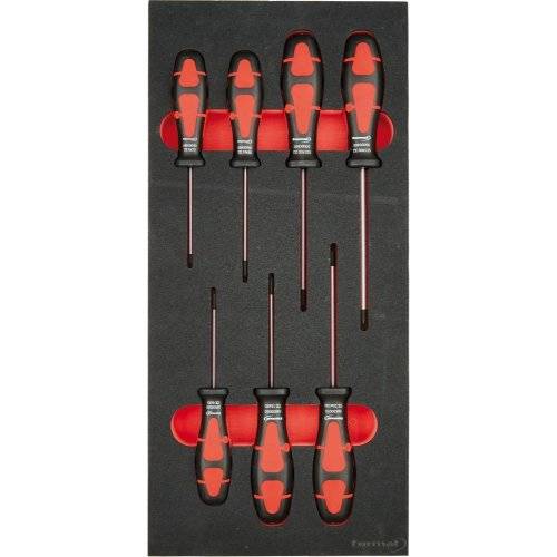 Format Modul Schraubendreher Torx 1/3