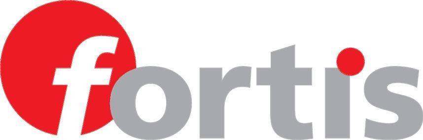 Kegelbürste Edelstahl 100mm gezopft FORTIS