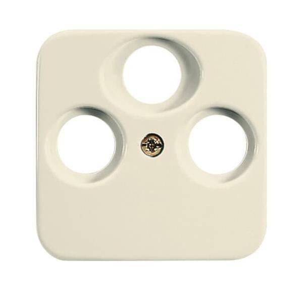 Busch-Jaeger Zentralscheibe ws 1743-03-212