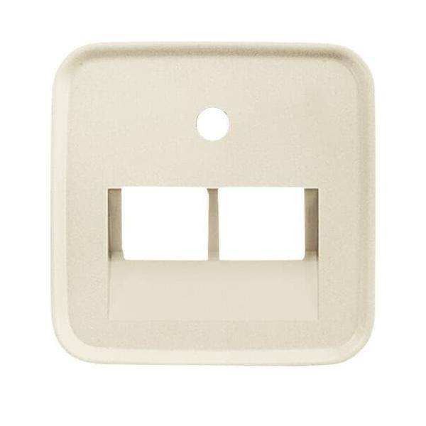 Busch-Jaeger Zentralscheibe ws 1803-02-212