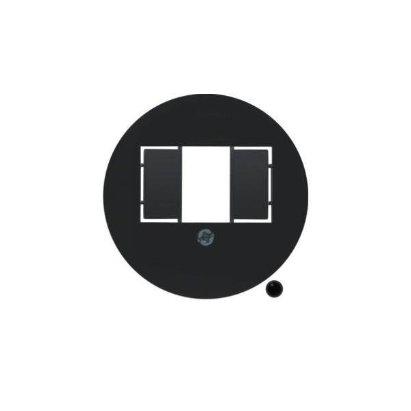 Berker Zentralstück sw 104001