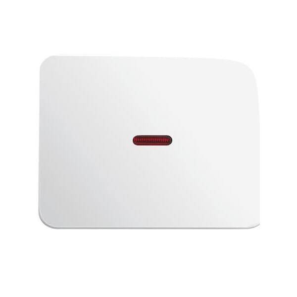 Busch-Jaeger Kontroll-Wippe stws gl 1789-24G