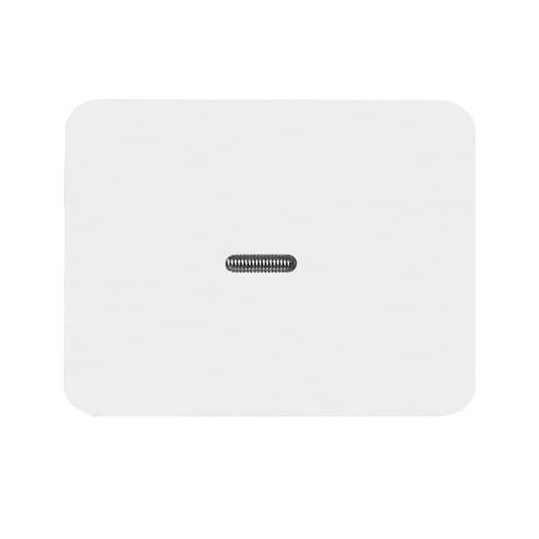 Busch-Jaeger Kontroll-Wippe stws gl 1787-24G