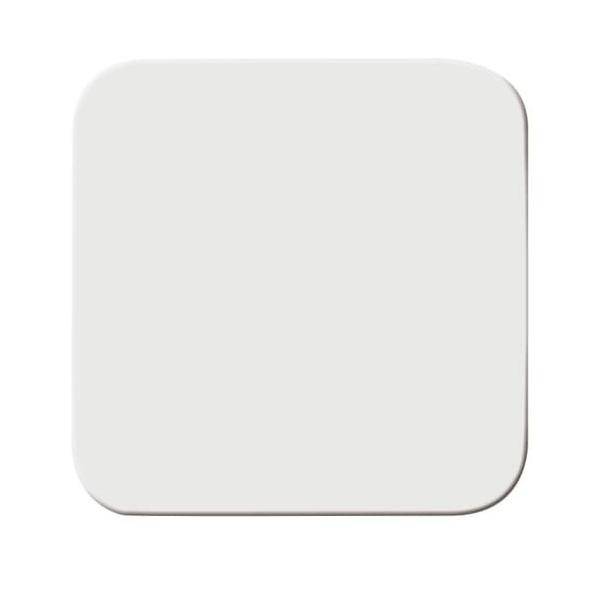 Busch-Jaeger Wippe aws 2506-214