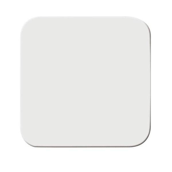 Busch-Jaeger Wippe aws 2506-214