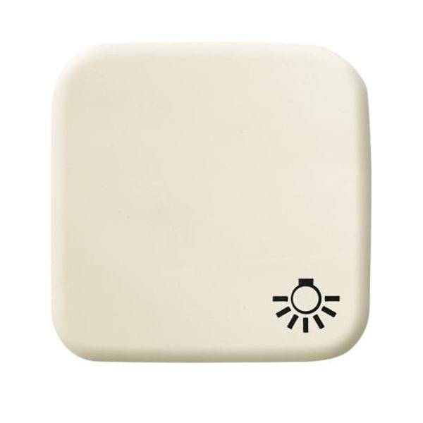 Busch-Jaeger Wippe ws 2520 LI-212