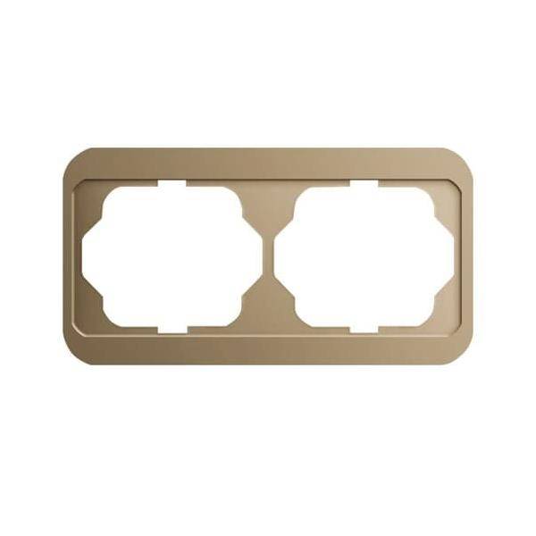 Busch-Jaeger Rahmen 2-fach 1722-21