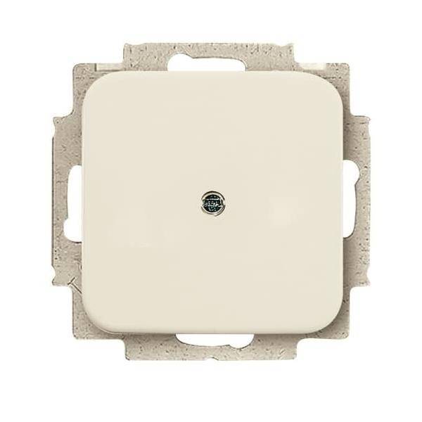 Busch-Jaeger Blindzentralscheibe ws 2538-212