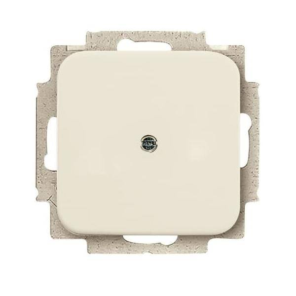 Busch-Jaeger Blindzentralscheibe ws 2538-212