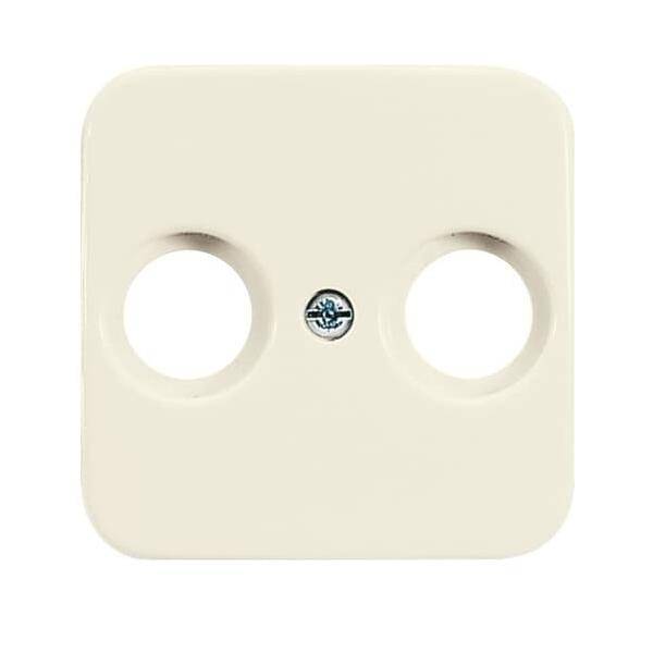 Busch-Jaeger Zentralscheibe ws 2531-212