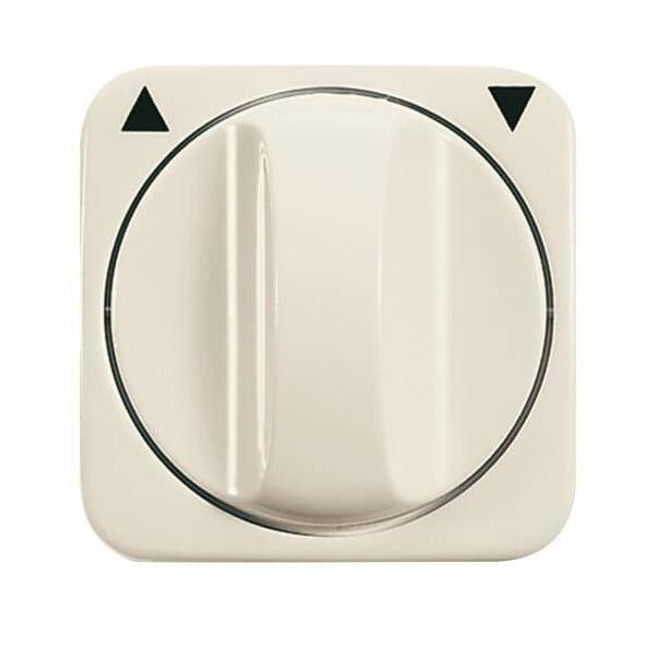 Busch-Jaeger Zentralscheibe ws 2542 DR-212