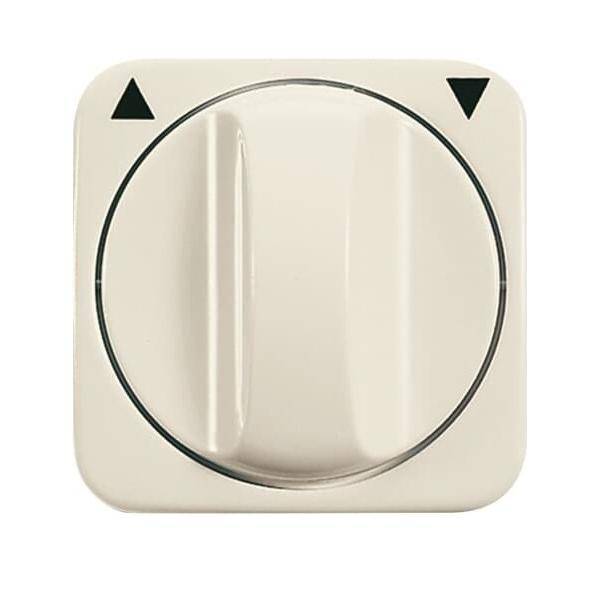 Busch-Jaeger Zentralscheibe ws 2542 DR-212