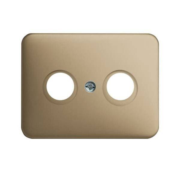 Busch-Jaeger Zentralscheibe brz 1743-21